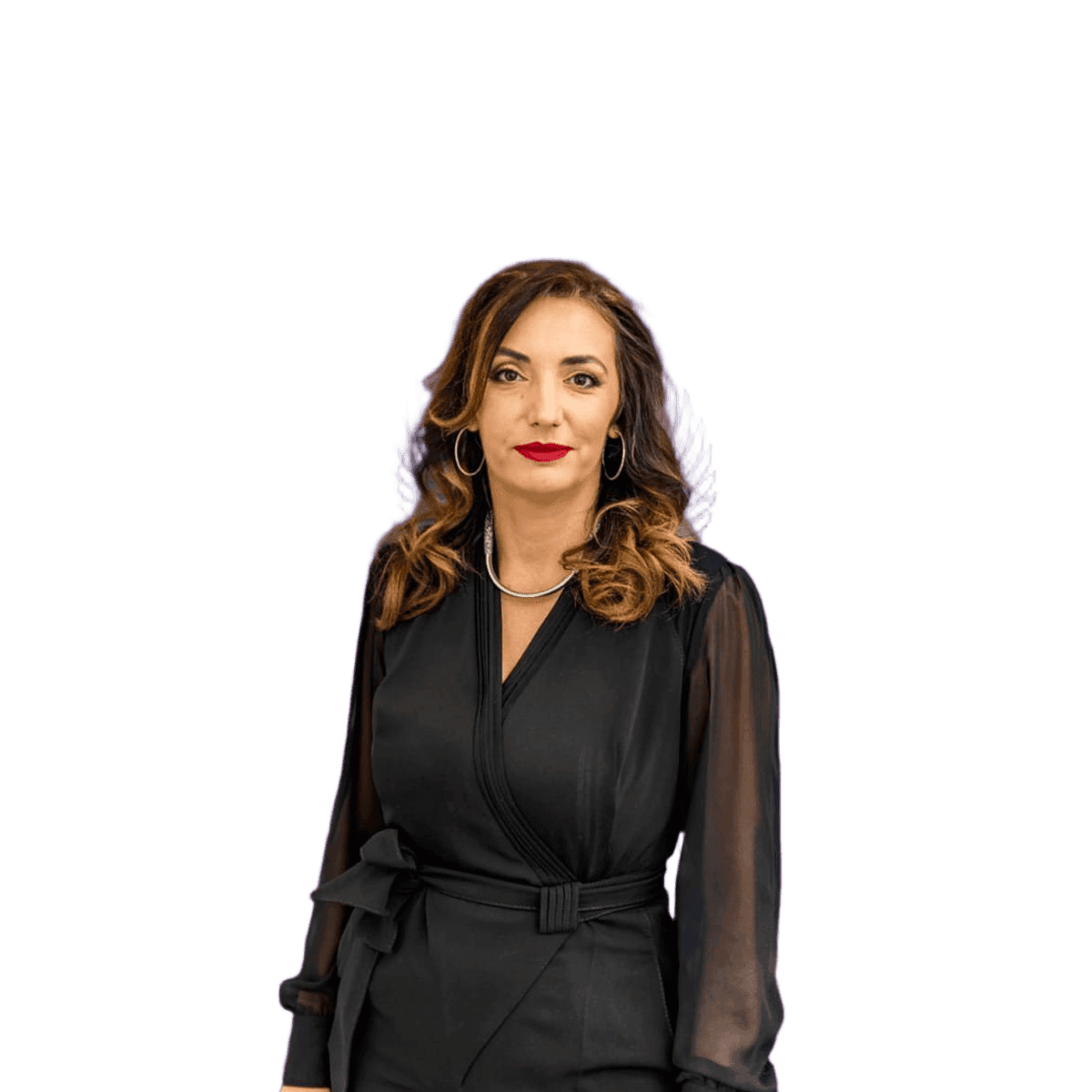 H.E. Prof. Dr. Anđela Jakšić Stojanović