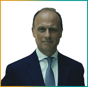 Professor Stefano Caselli